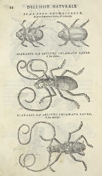 View Full Size Image