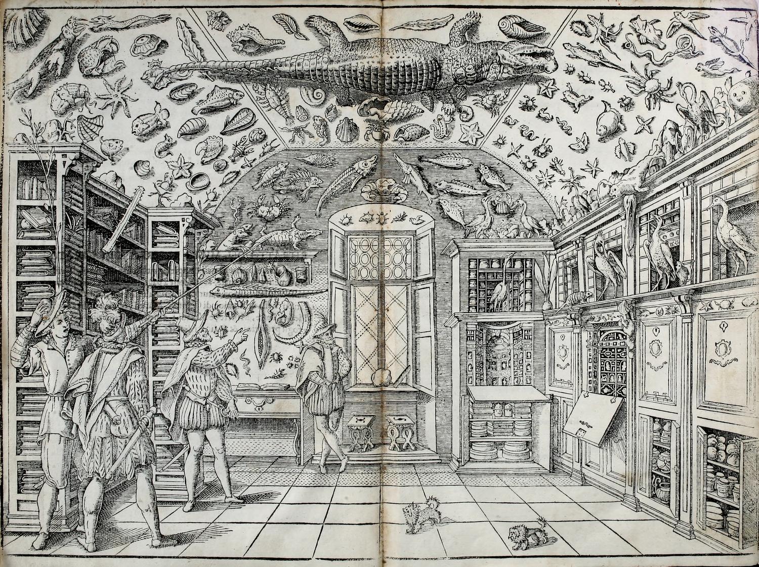 View Full Size Image