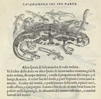 View Full Size Image