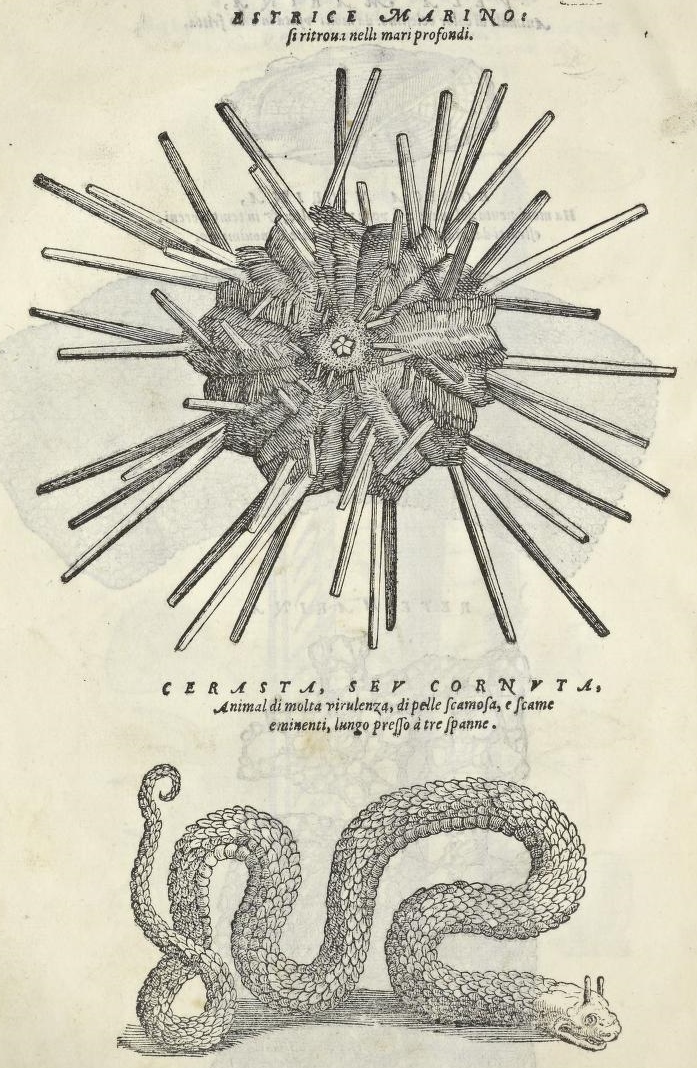 View Full Size Image