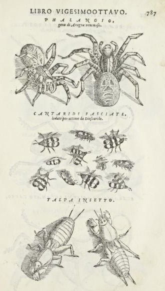 View Full Size Image