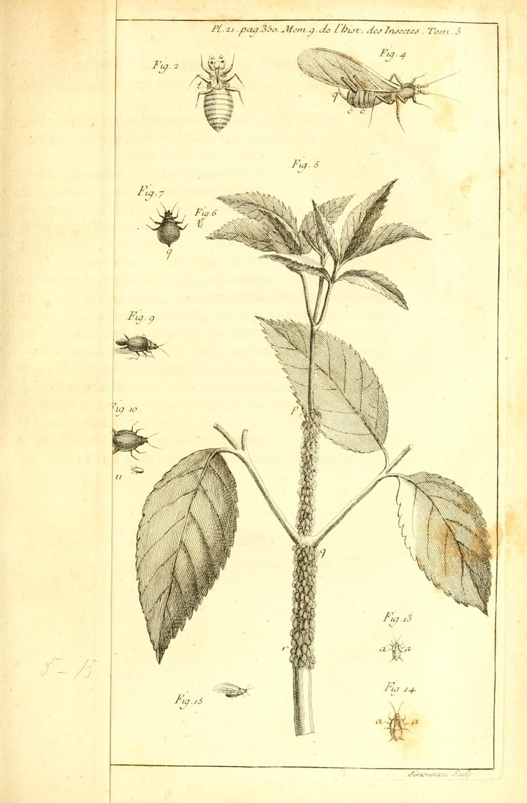 View Full Size Image