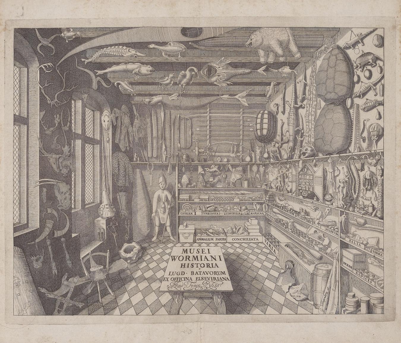 View Full Size Image