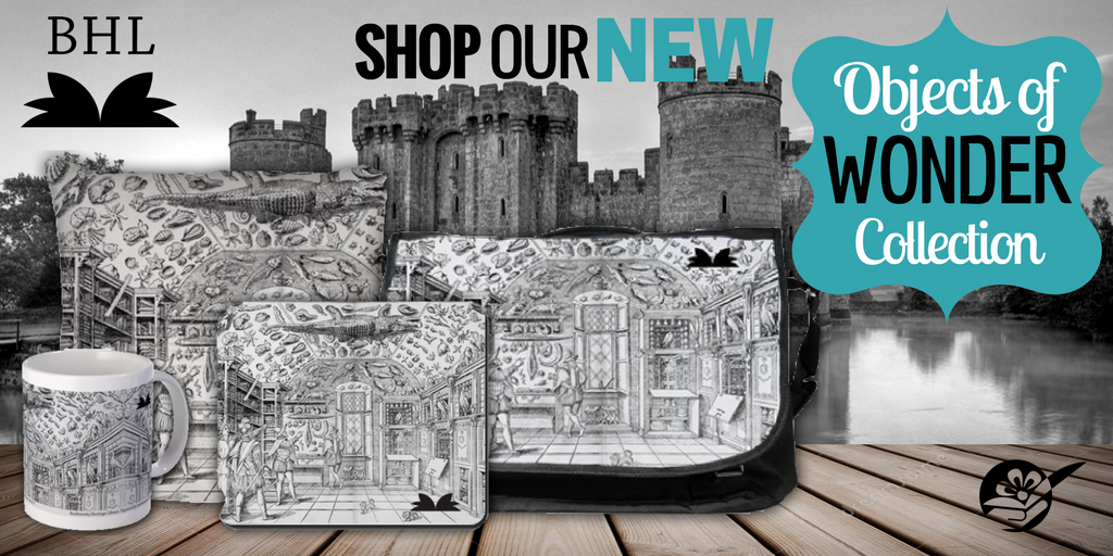 View Full Size Image