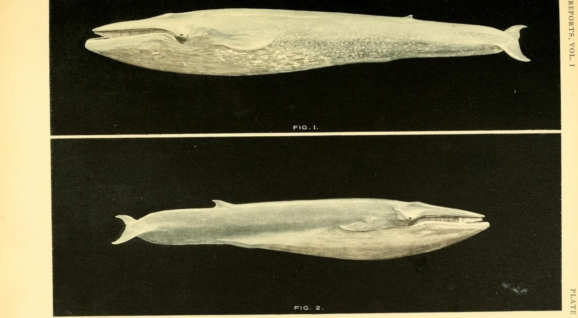 Read the full blog post