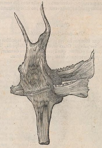 View Full Size Image