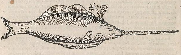 View Full Size Image