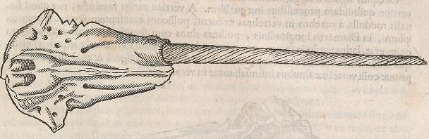 View Full Size Image