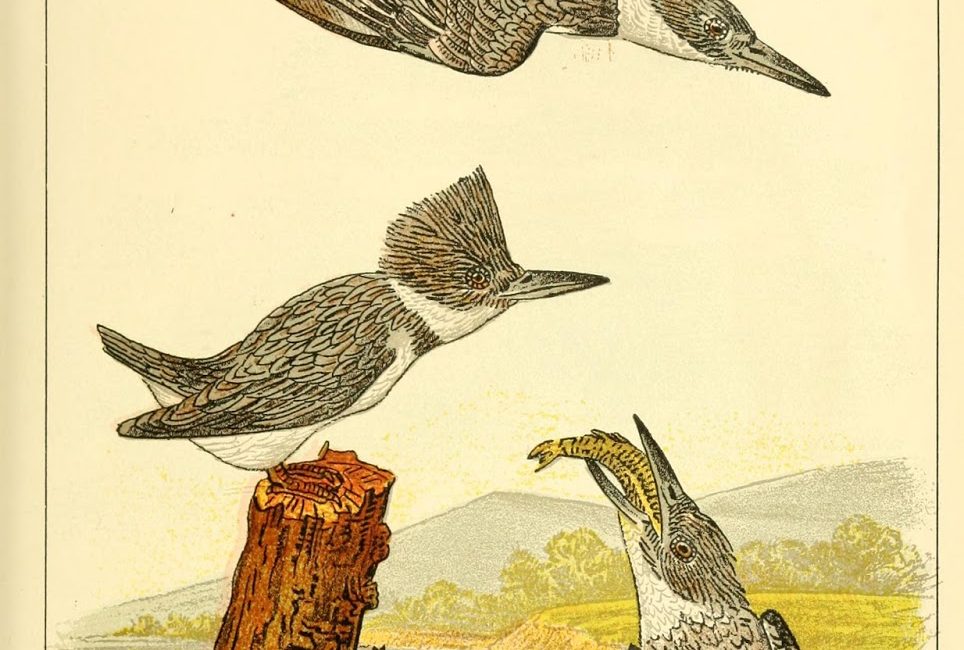 Read the full blog post