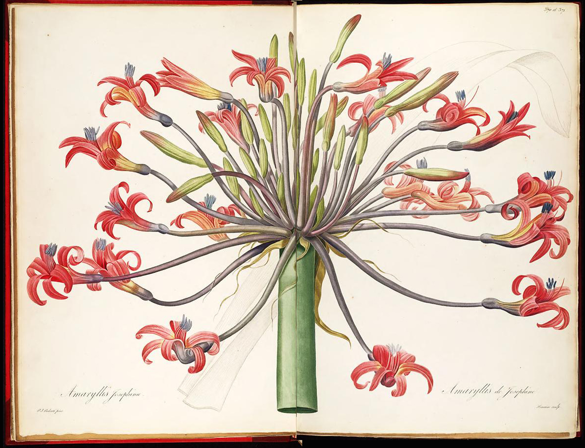 View Full Size Image