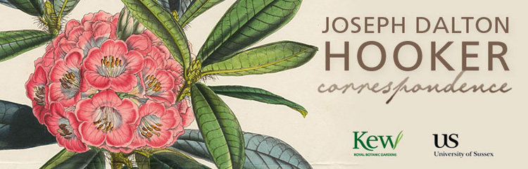 View Full Size Image