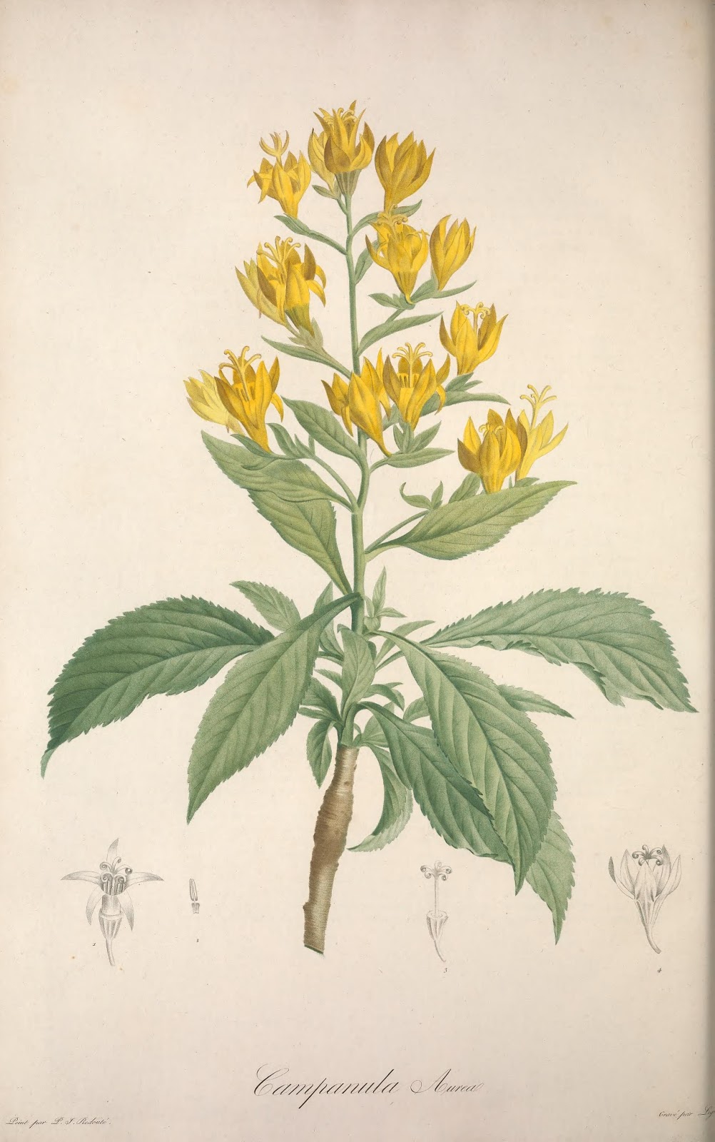 View Full Size Image