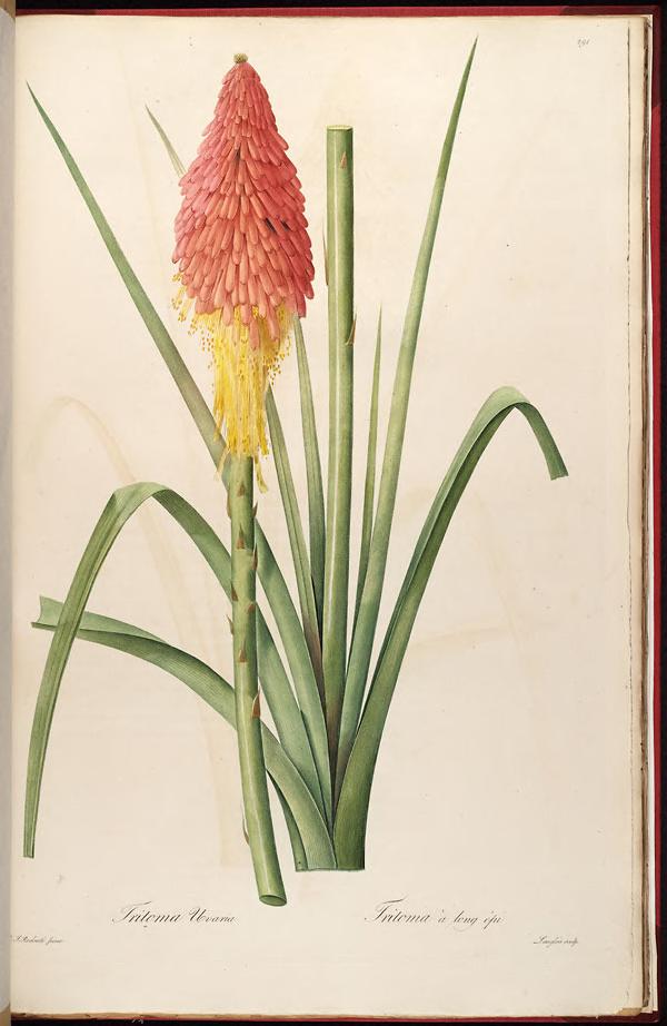 View Full Size Image