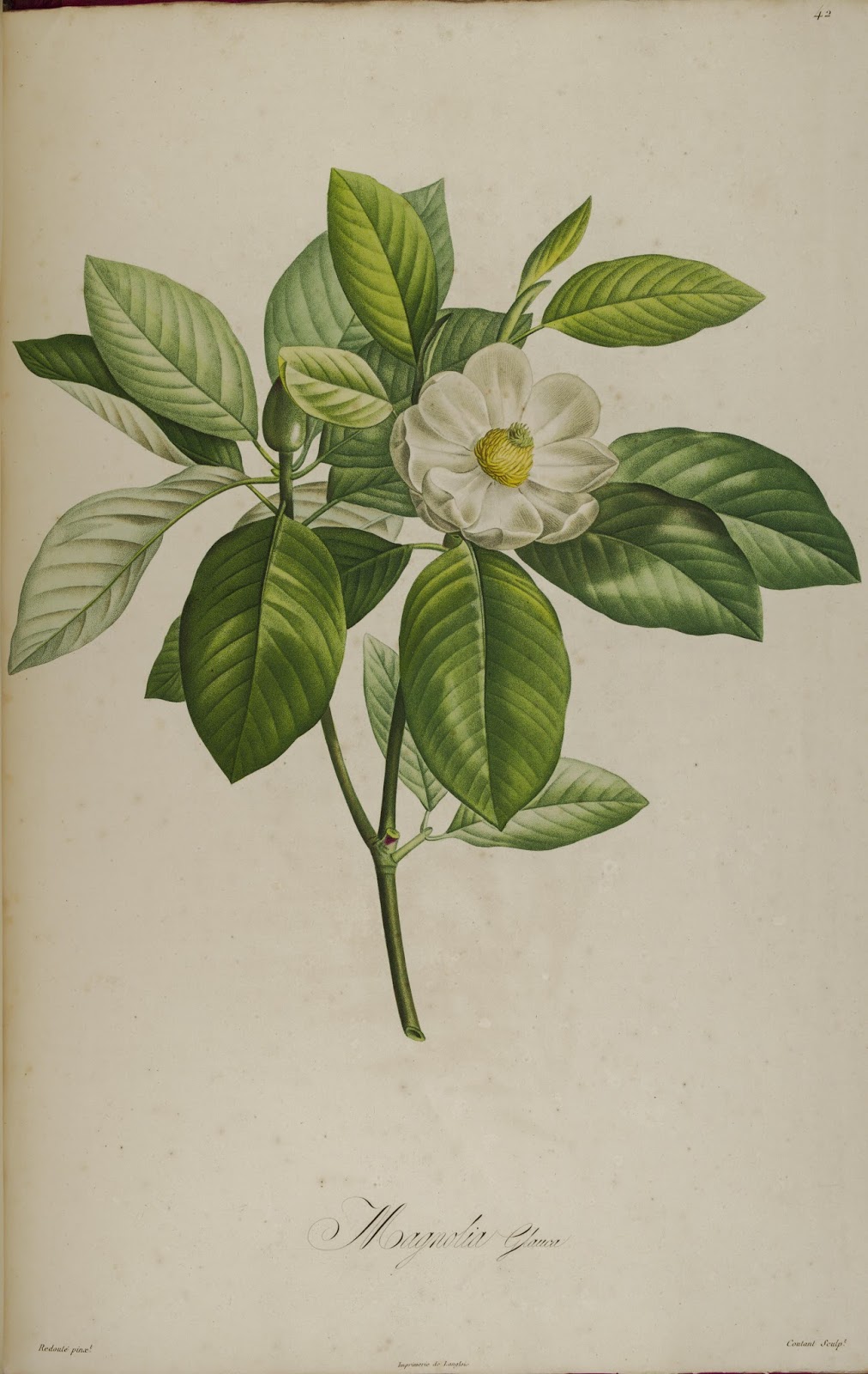 View Full Size Image