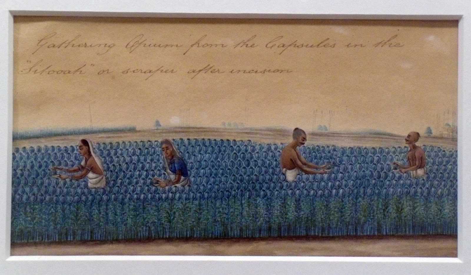 View Full Size Image