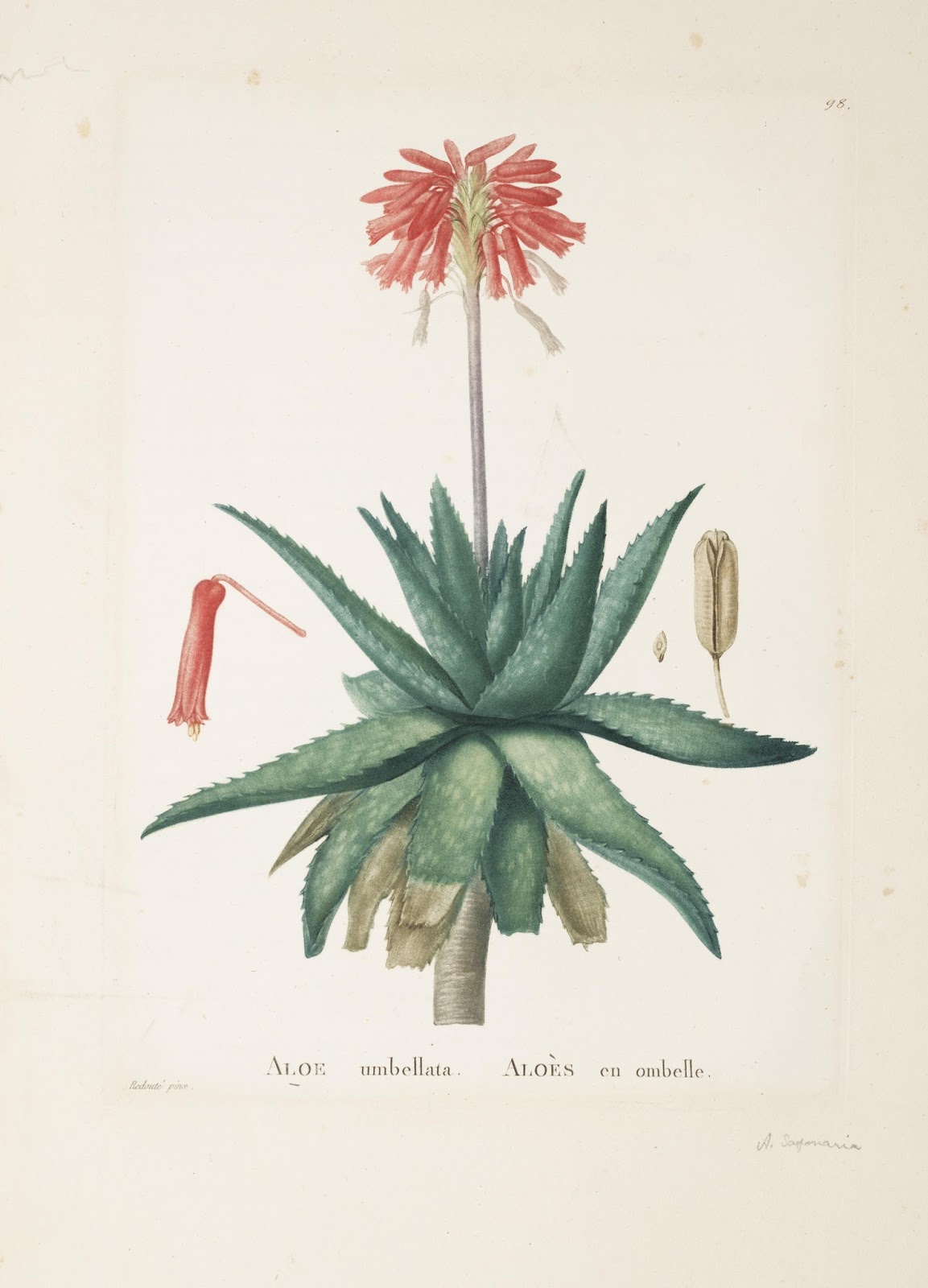 View Full Size Image