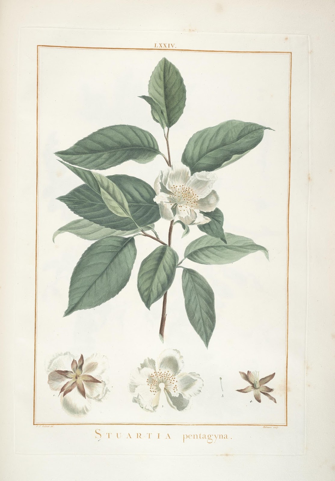 View Full Size Image