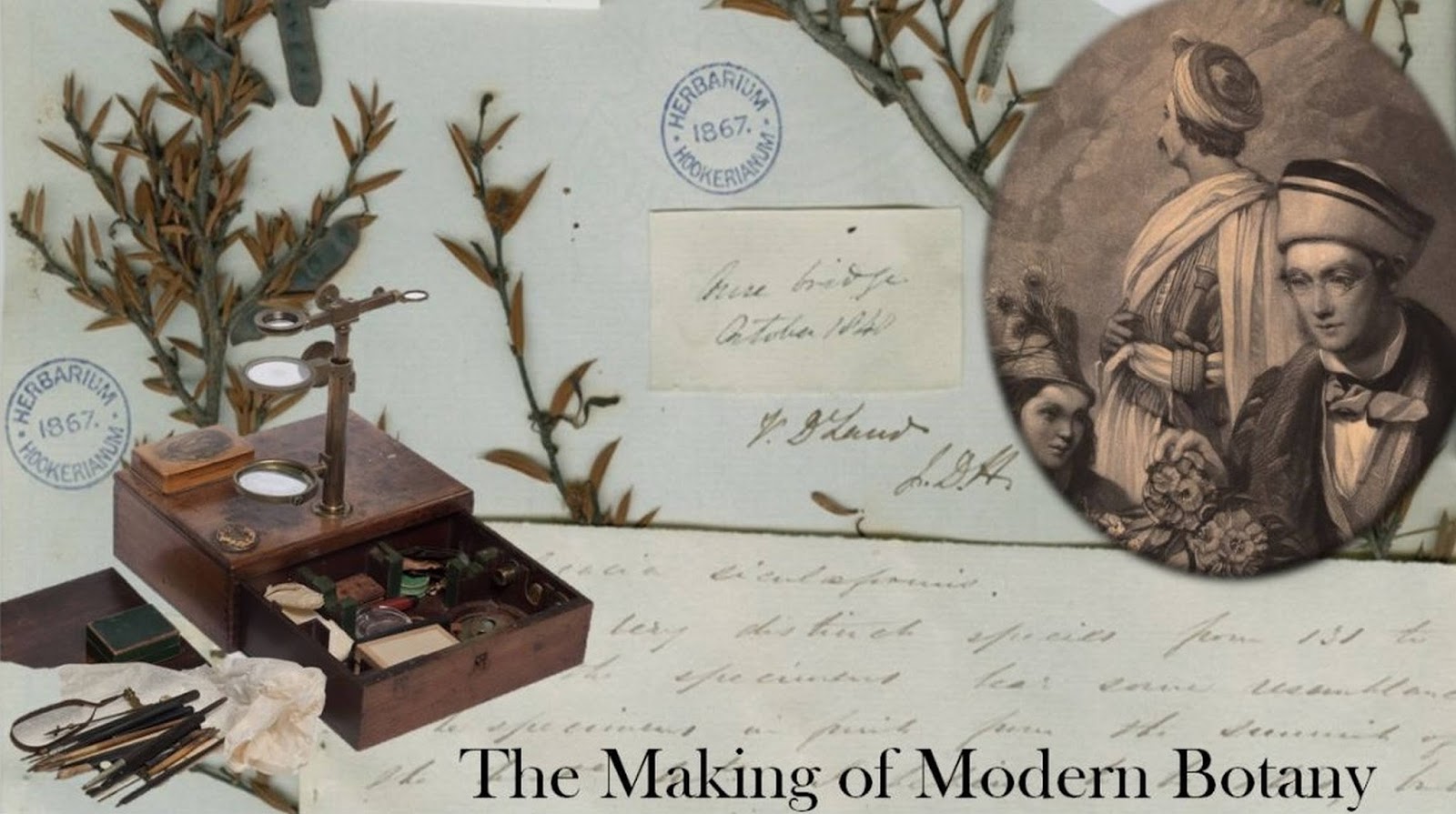 View Full Size Image