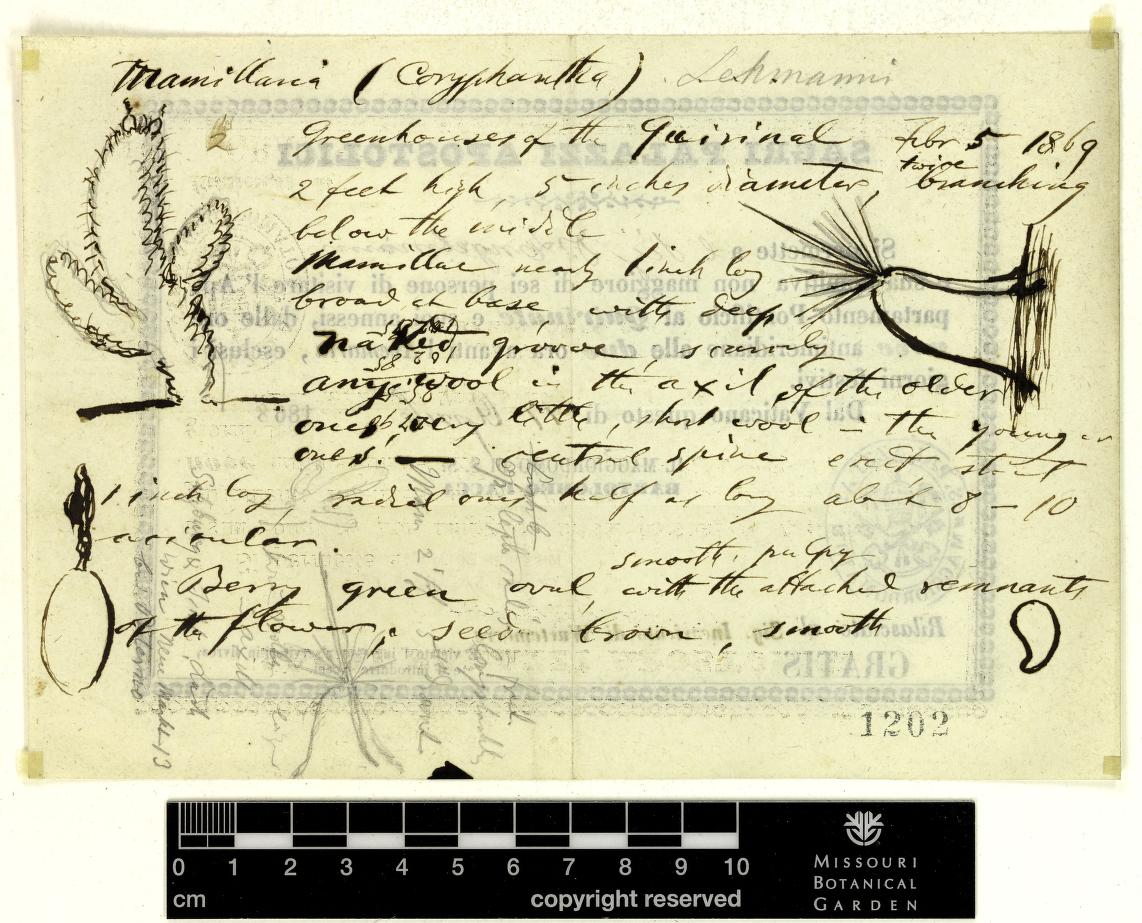 View Full Size Image