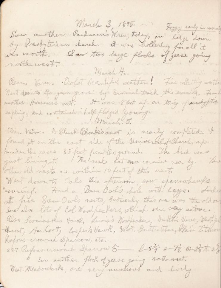 View Full Size Image