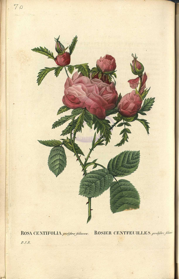 View Full Size Image