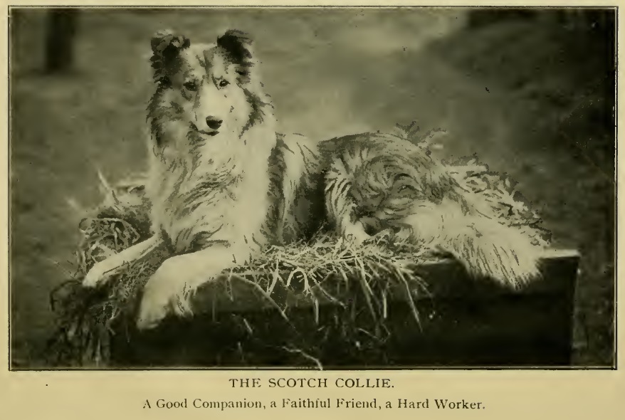 View Full Size Image