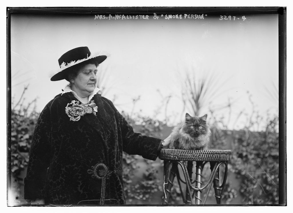 View Full Size Image