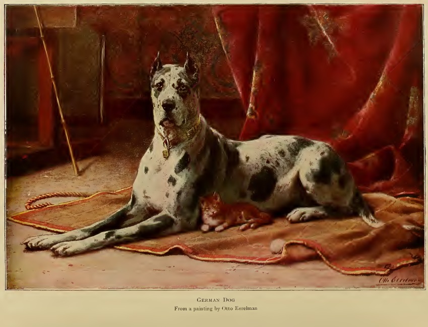 View Full Size Image