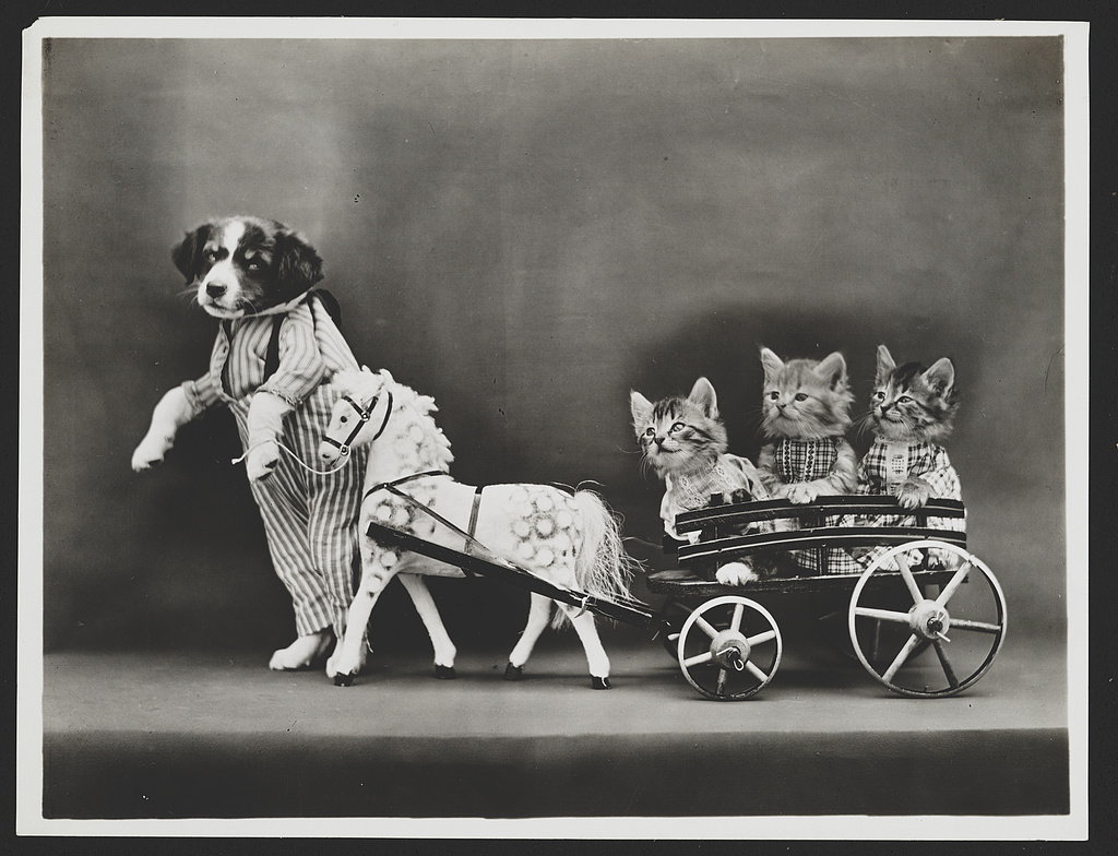 View Full Size Image