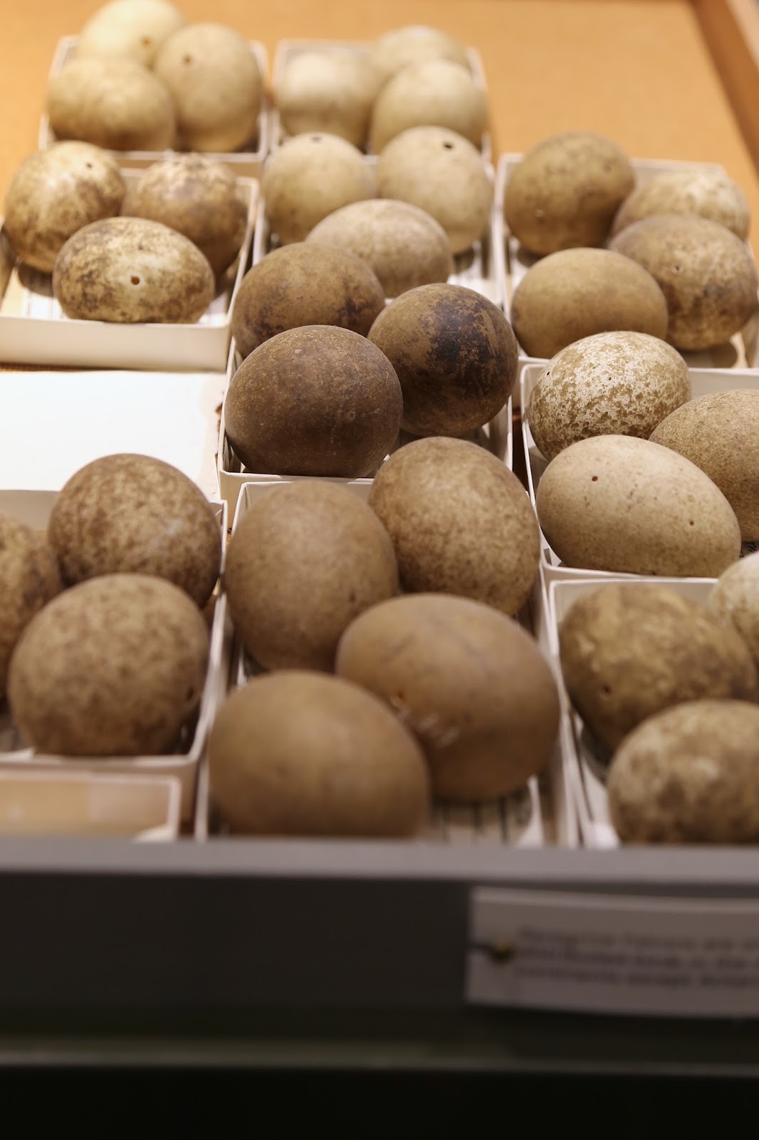 View Full Size Image