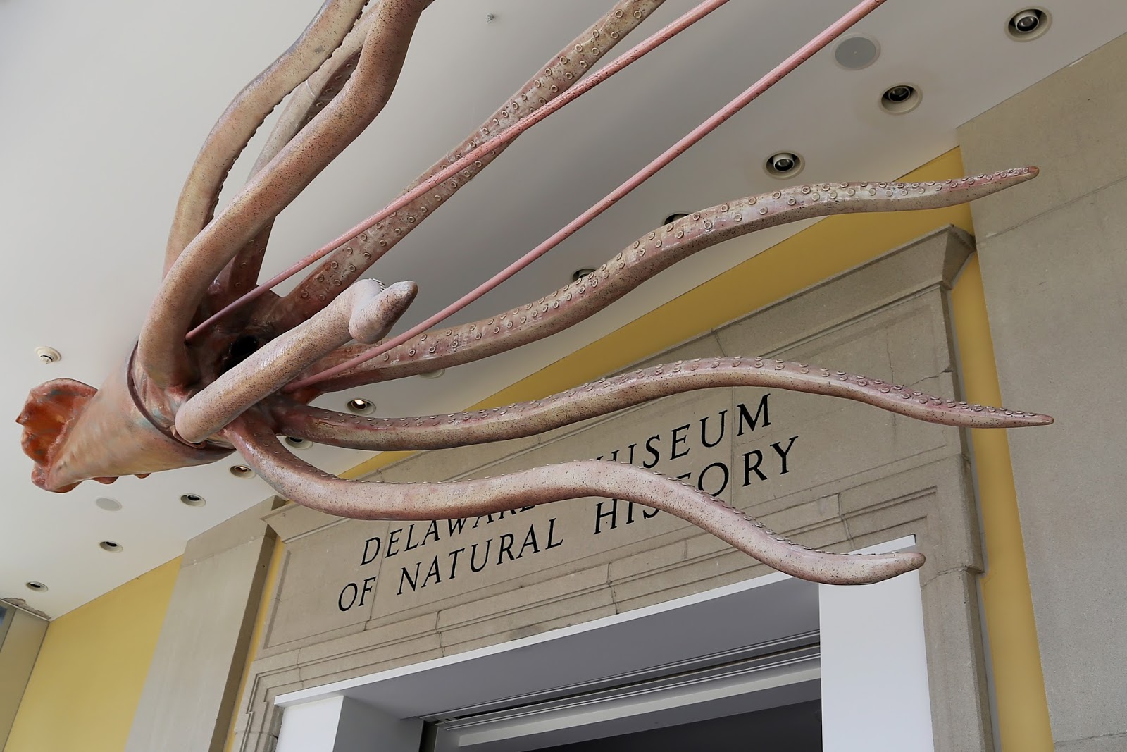 View Full Size Image