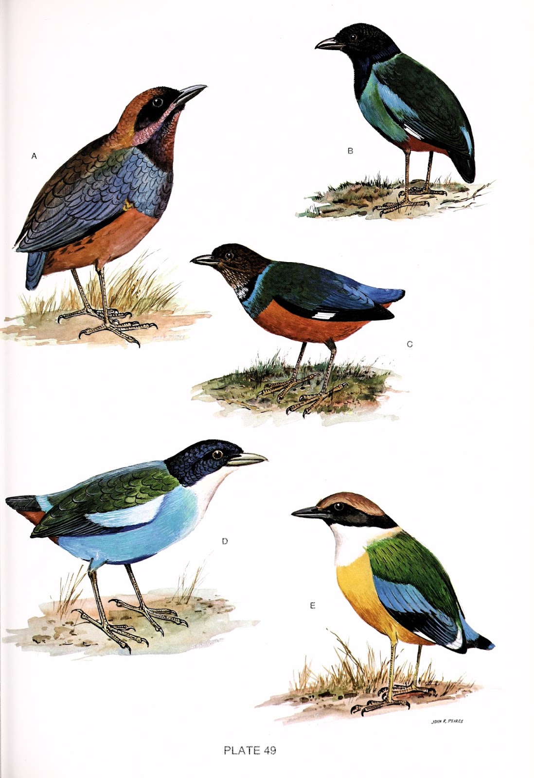 View Full Size Image