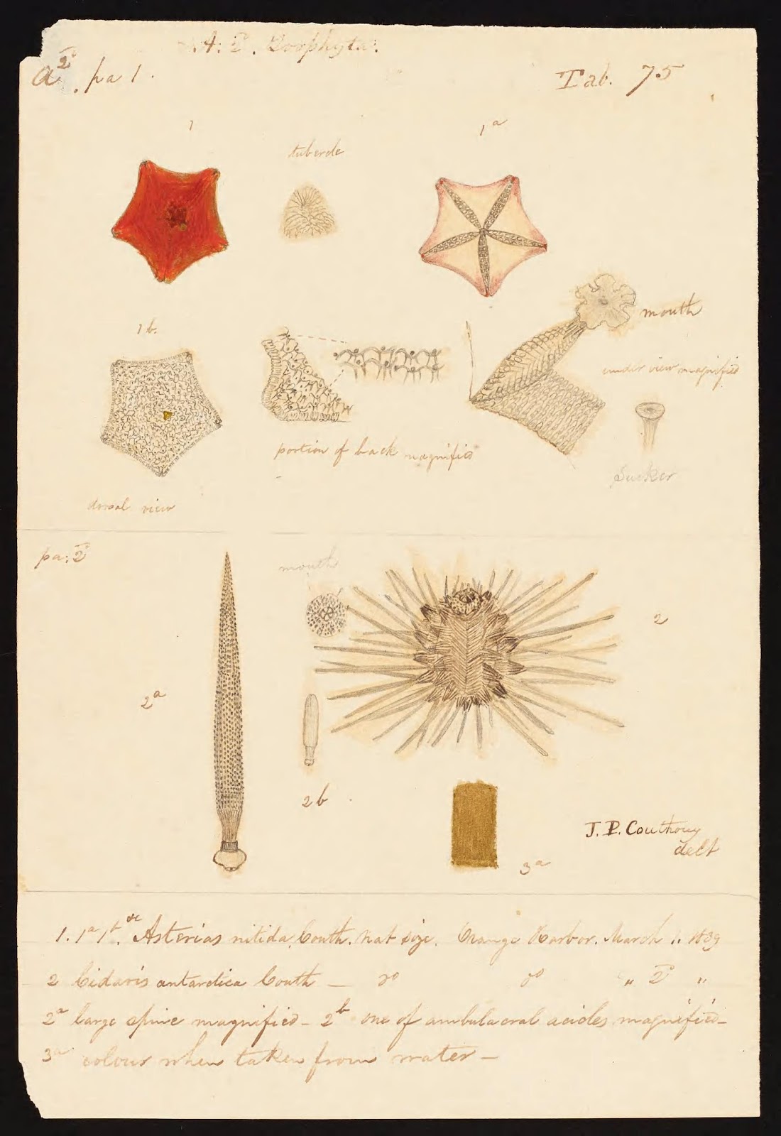 View Full Size Image