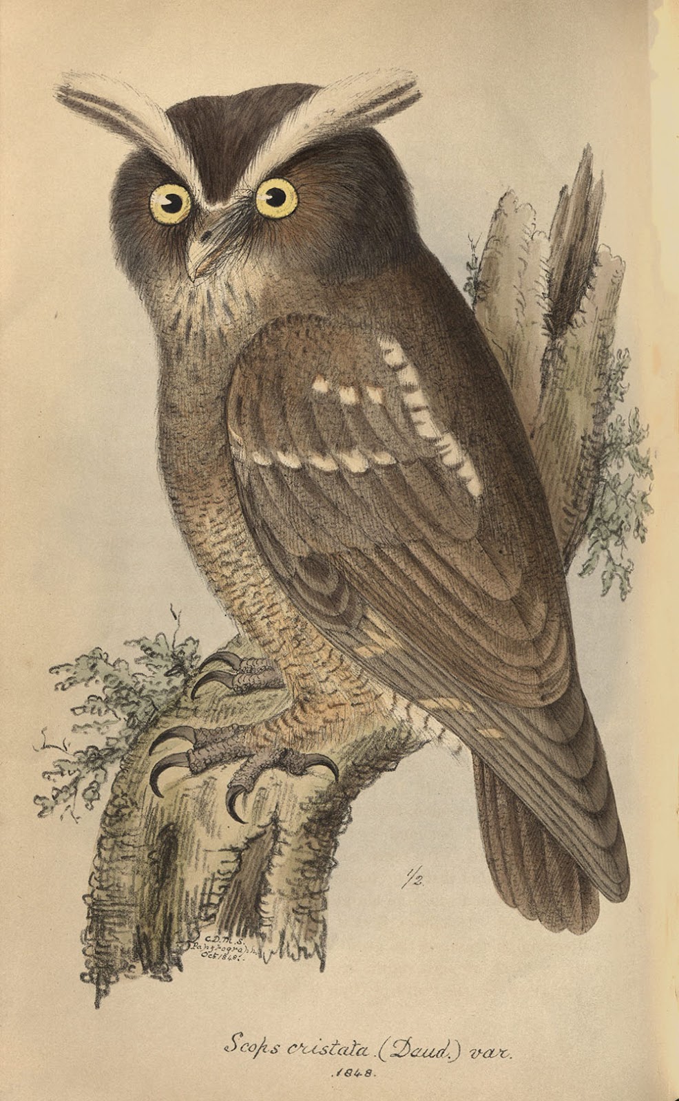 View Full Size Image