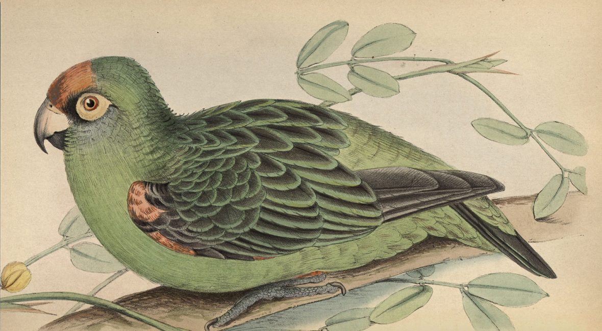 Read the full blog post