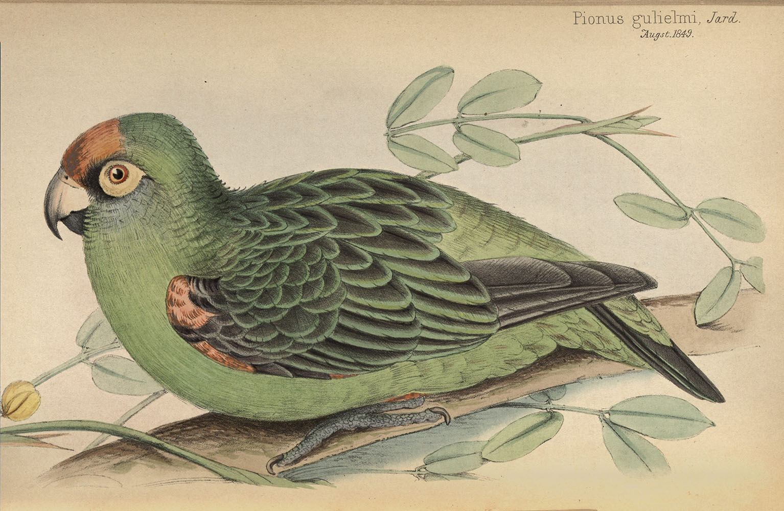 View Full Size Image