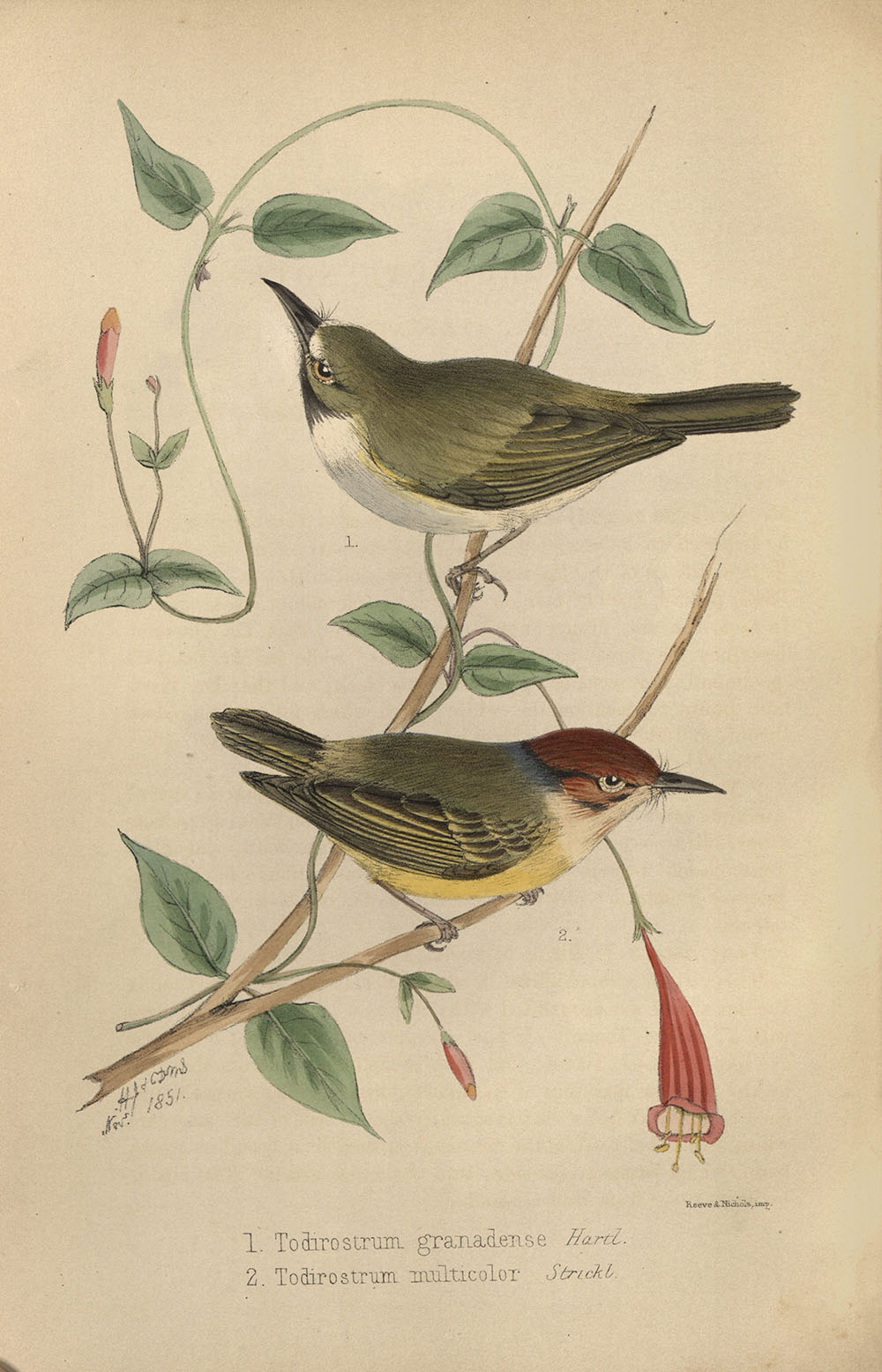 View Full Size Image