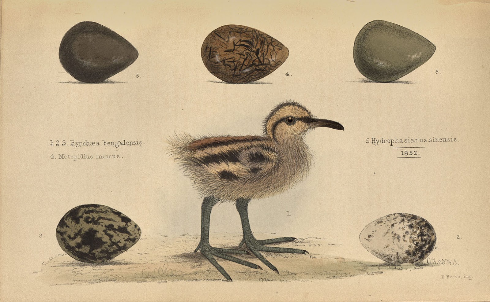 View Full Size Image