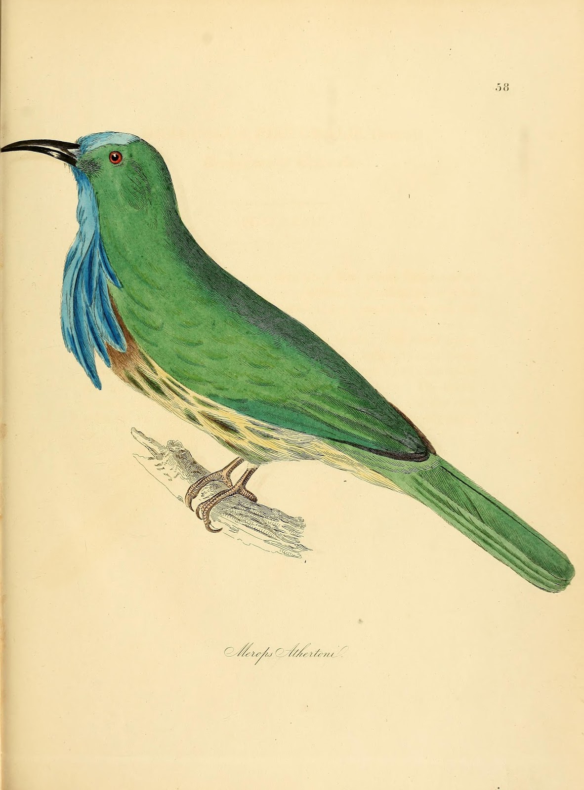 View Full Size Image