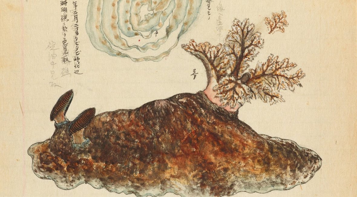 Read the full blog post