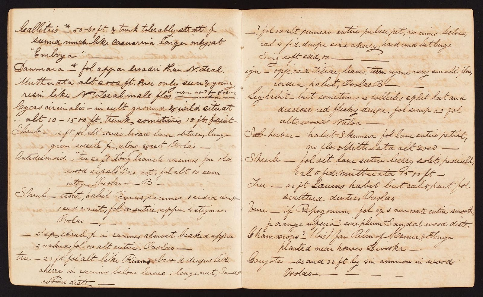 View Full Size Image