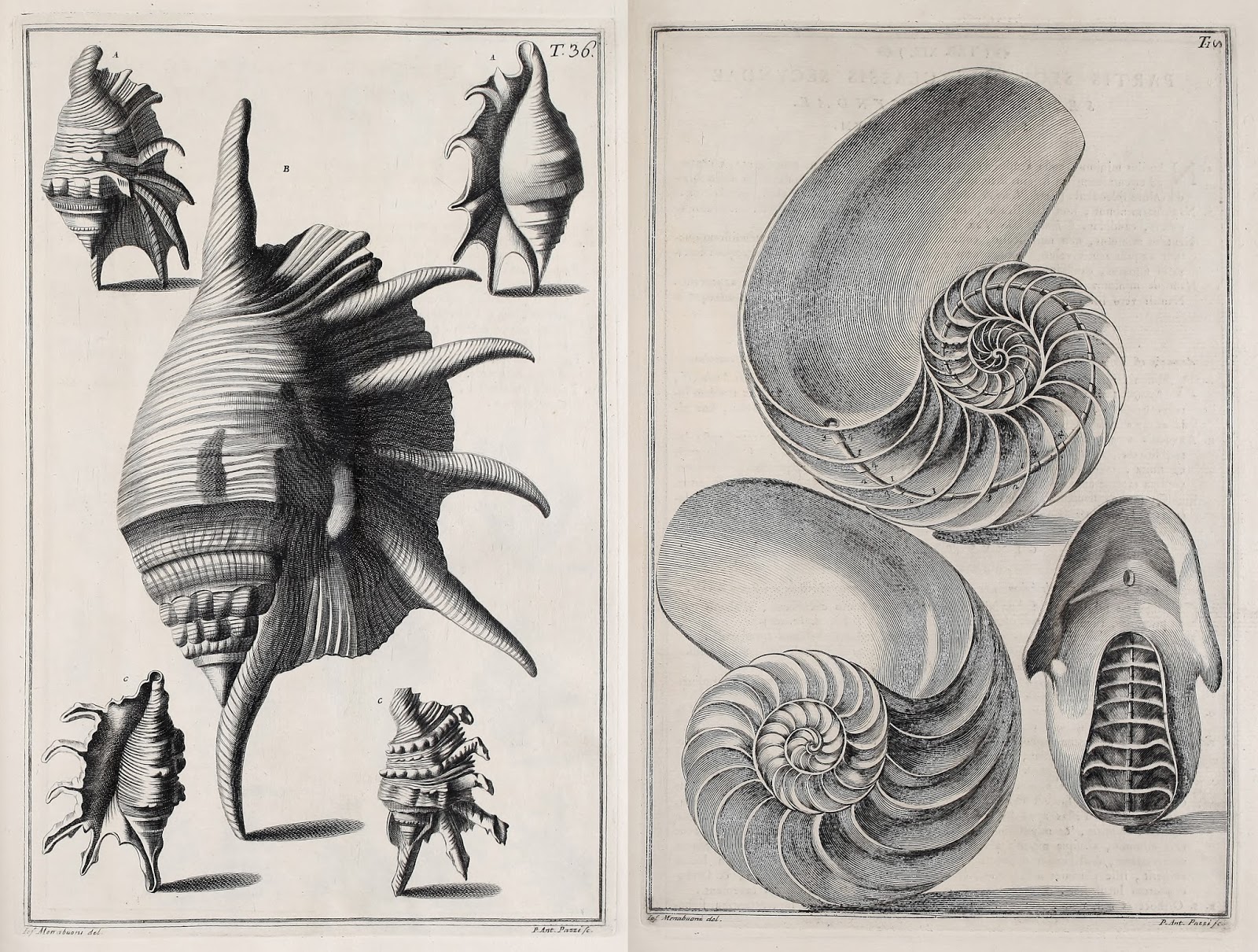 View Full Size Image