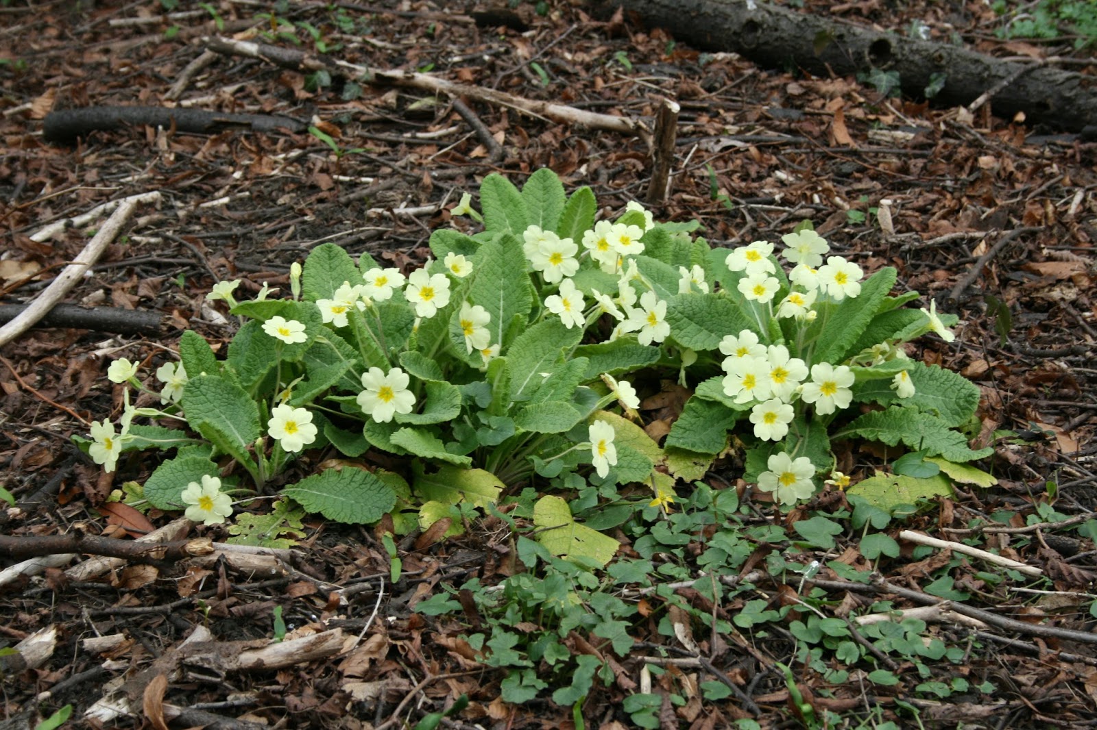 View Full Size Image