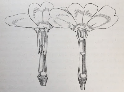 View Full Size Image