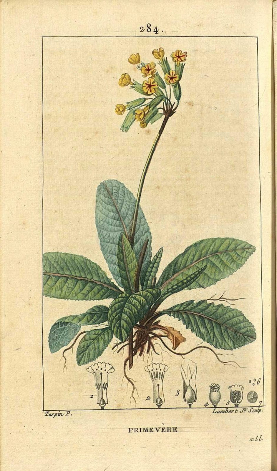 View Full Size Image