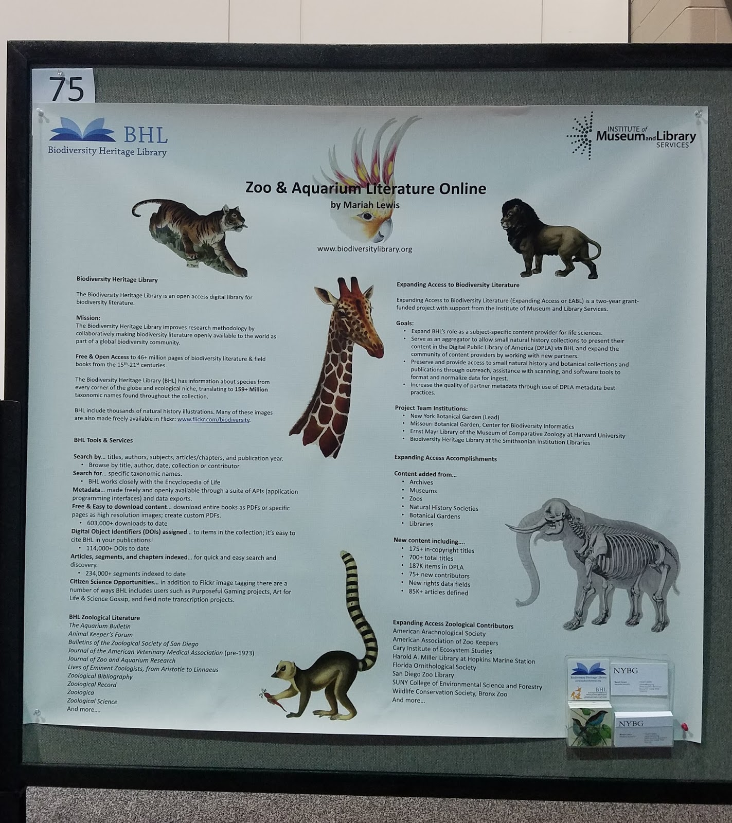 View Full Size Image