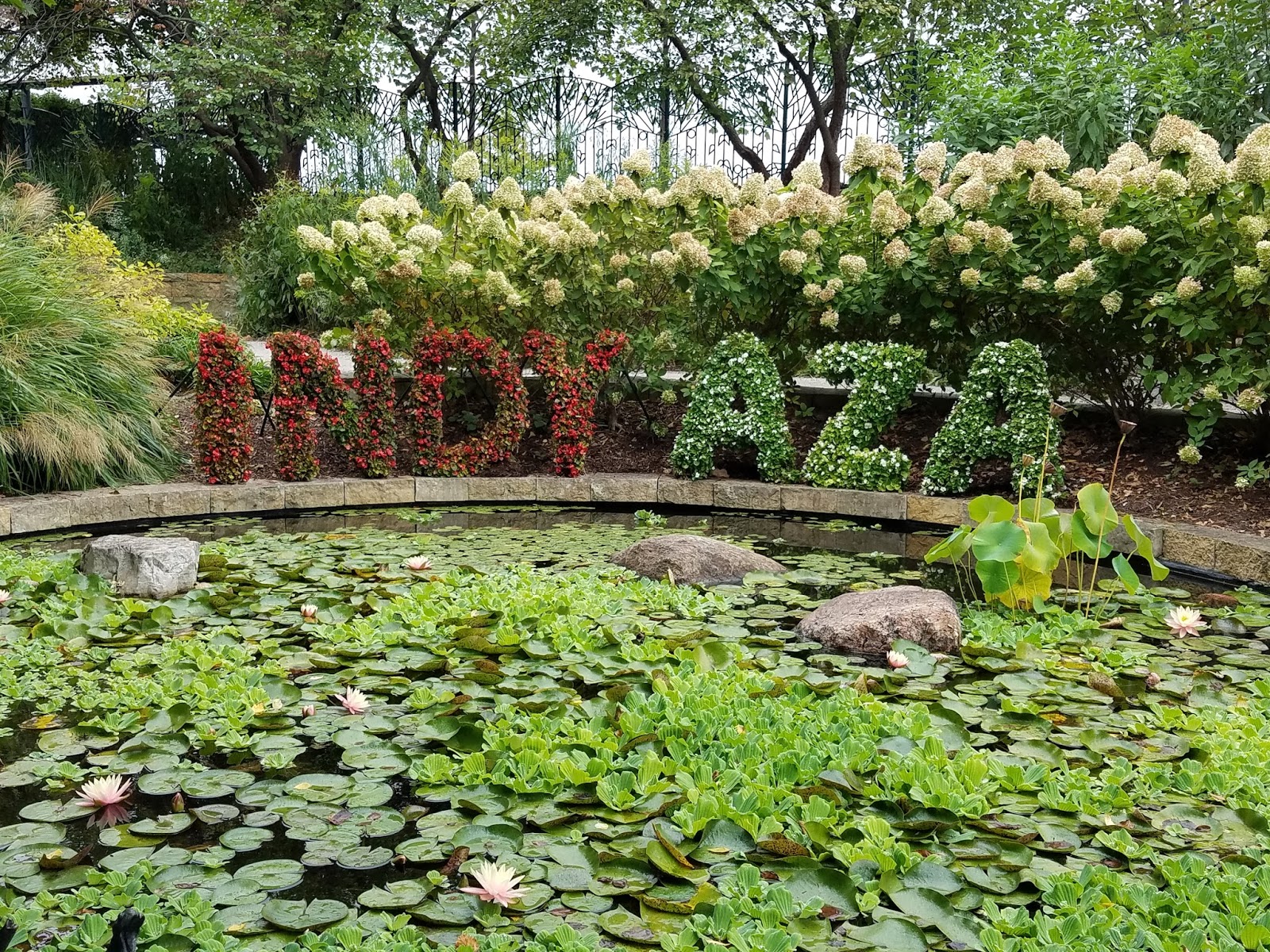 View Full Size Image