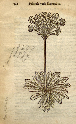 View Full Size Image