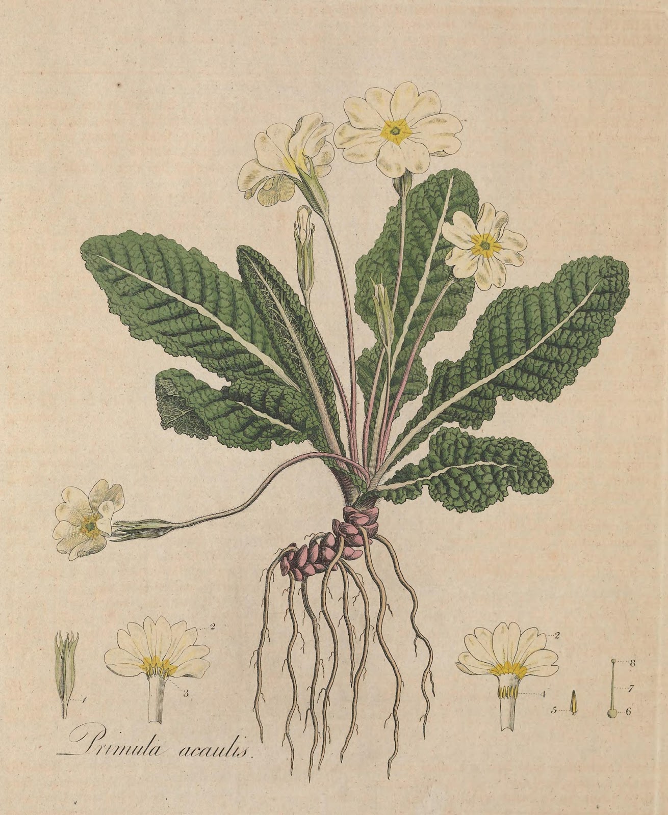 View Full Size Image