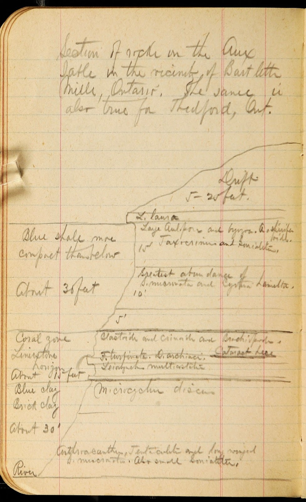 View Full Size Image